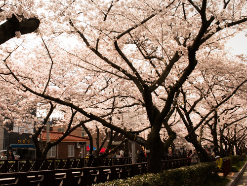 Yeojwa Stream, Romance Bridge 