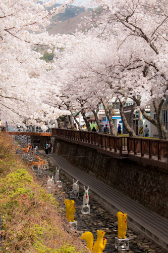  Yeojwa Stream Romance Bridge - decos starting to appear