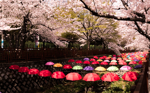 Umbrellas Deco - Yeojwa Stream Romance Bridge