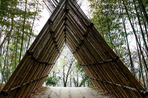 Bamboo Sheltered Walk - Damyang Juknokwon Bamboo Forest