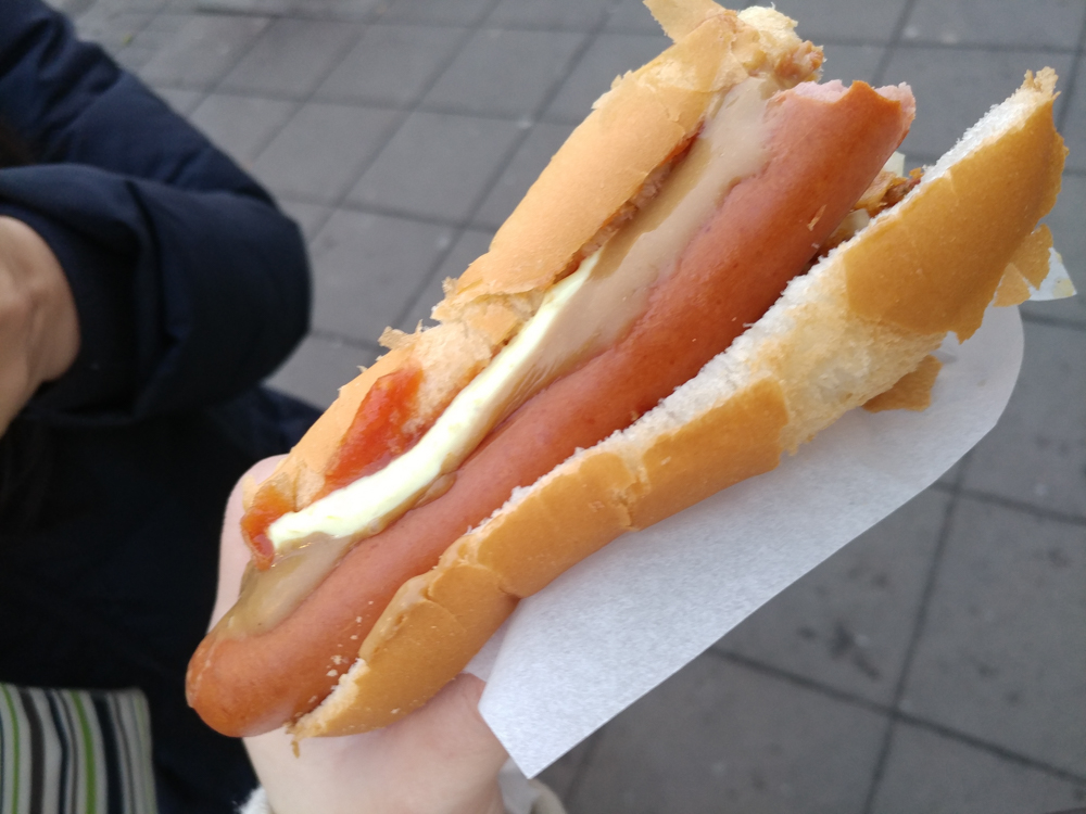 Famous Hotdog in Reykjavik