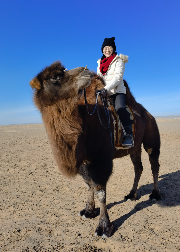 Camel Riding