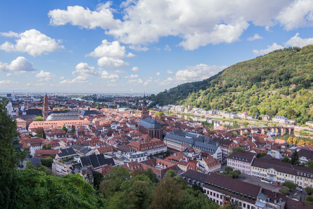 City View from Heidelburg Palace